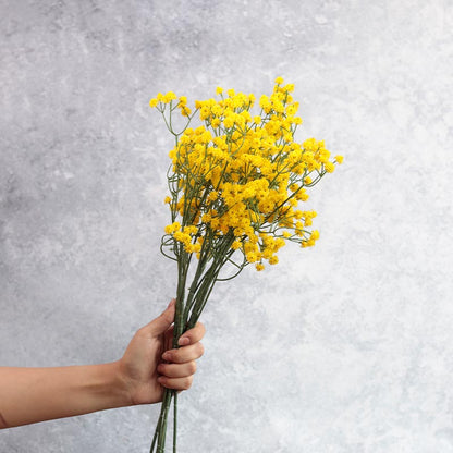 Artificial Baby's Breath Sticks | Set of 6 Yellow