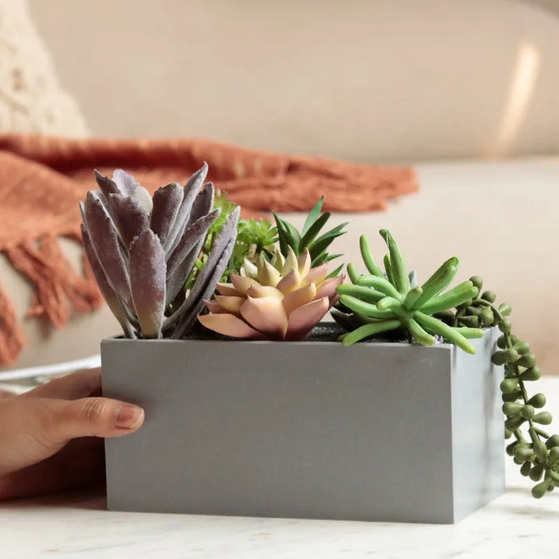 Artificial Succulents in Rectangular Tray Default Title