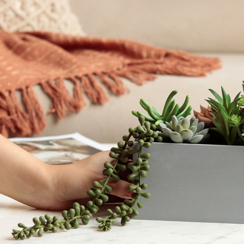 Artificial Succulents in Rectangular Tray Default Title