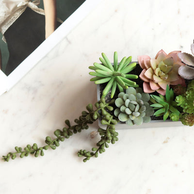 Artificial Succulents in Rectangular Tray Default Title