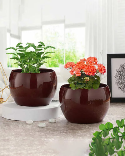 Metallic Sunshine Elegant Tabletop Planter | Set of 2