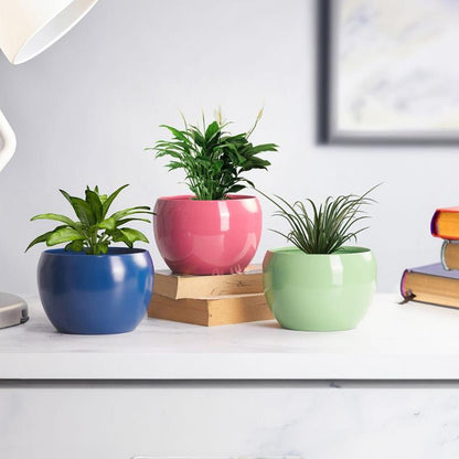 Amio Sunshine Elegant Matte Finished TableTop Pot Planter | Set Of 3| Plant Not Included