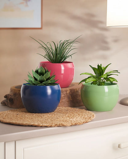 Amio Sunshine Elegant Matte Finished TableTop Pot Planter | Set Of 3| Plant Not Included