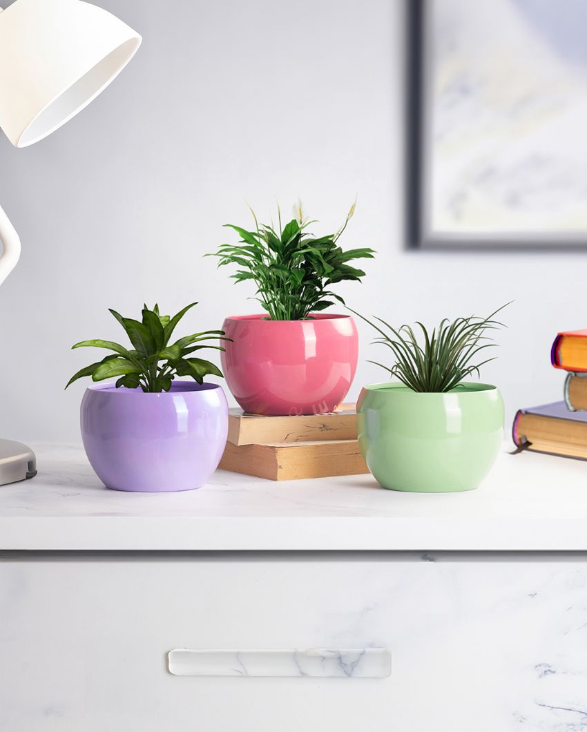 Sunshine Table Top Pot Planter Withour Plant | Set of 3