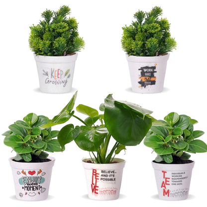 Pubela Melamine Planters | Set of 3 Default Title