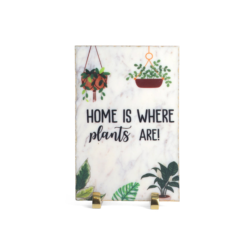 Home and Plants Harmony Showpiece | 8 X 12 inches