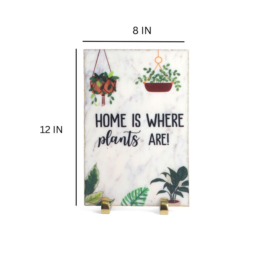 Home and Plants Harmony Showpiece | 8 X 12 inches