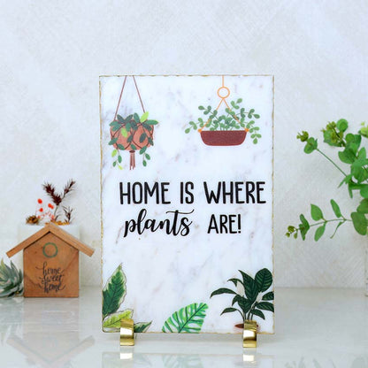 Home and Plants Harmony Showpiece | 8 X 12 inches