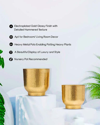 Mist Hammered Texture Metal Planters | Set Of 2 | Plant not included