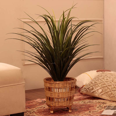 Trendy Handcrafted Bamboo Cane Planter | 9 Inches - Dusaan