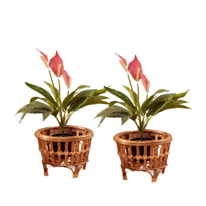 Classic Bamboo Planter | 7 x 6 inches