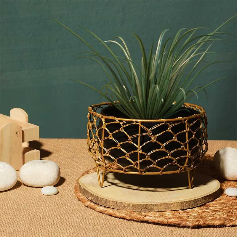 Luxurious Golden Net Black Planter Default Title