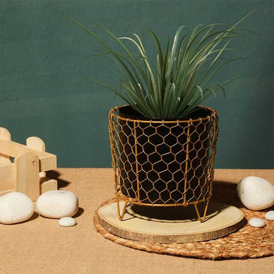 Luxurious Golden Net Black Planter Default Title