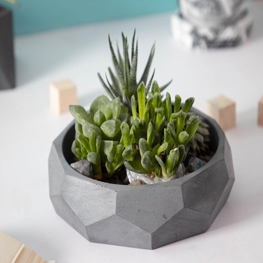 Modern Nine Sided Design Nonagon Concrete Planter | 7 x 7 x 2 inches