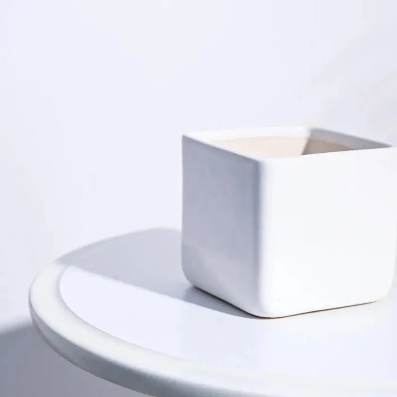 Square Ceramic Pot | Ugaoo | Multiple Colors White