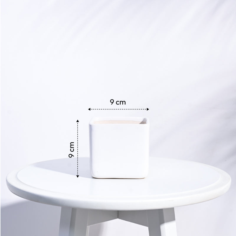 Square Ceramic Pot | Ugaoo | Multiple Colors White