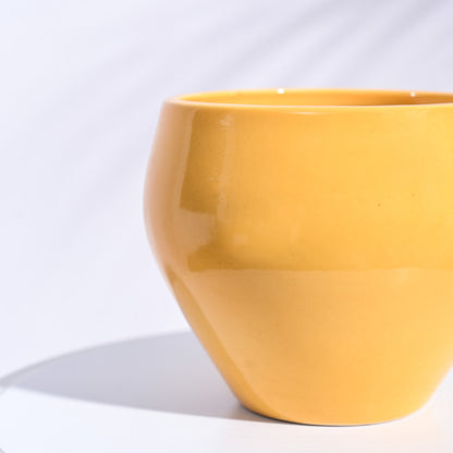 Apple Ceramic Pot | Mutiple Colors Yellow
