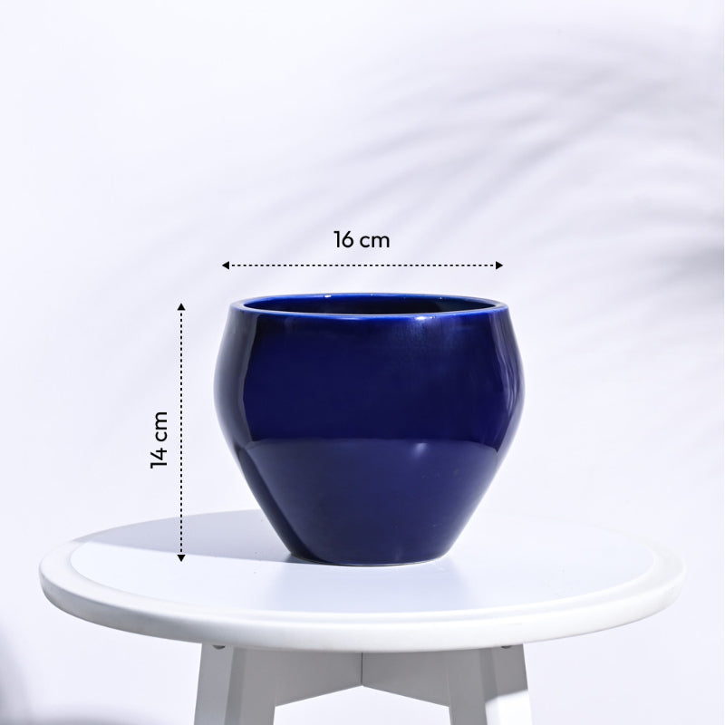 Apple Ceramic Pot | Mutiple Colors Dark Blue