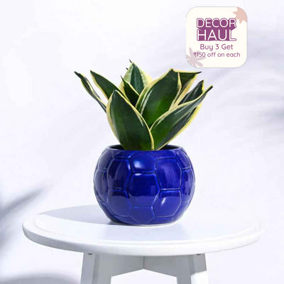 Blue Football Ceramic Pot |Blue | Plant Not Included