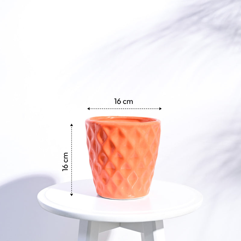 Argyle Ceramic Pot |  Multiple Colors Orange