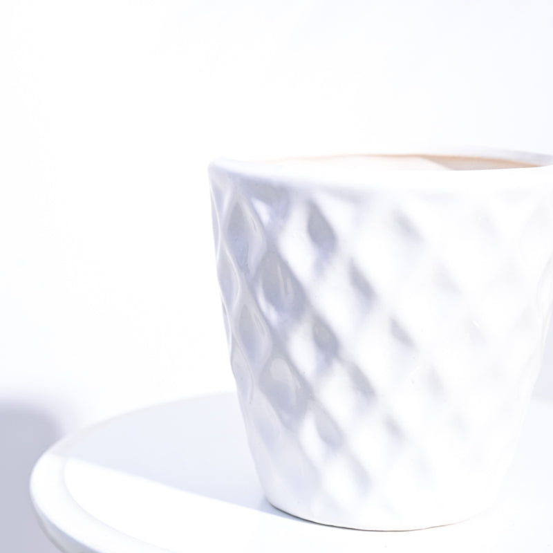 Argyle Ceramic Pot |  Multiple Colors White