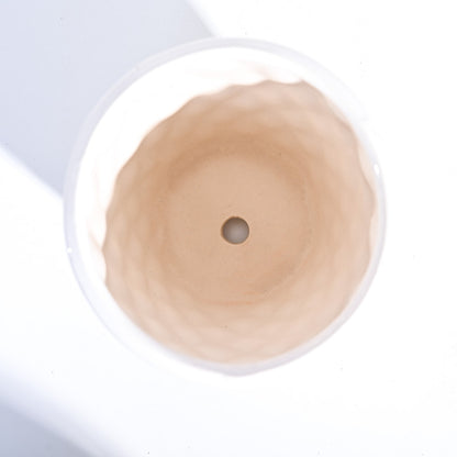 Argyle Ceramic Pot |  Multiple Colors White