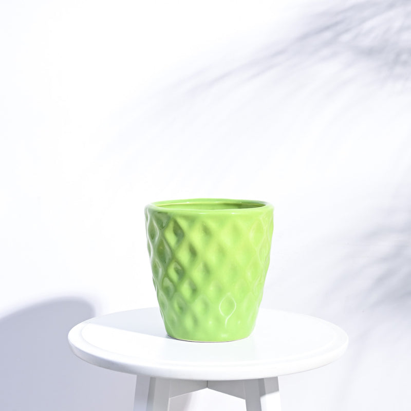 Argyle Ceramic Pot |  Multiple Colors Light Green