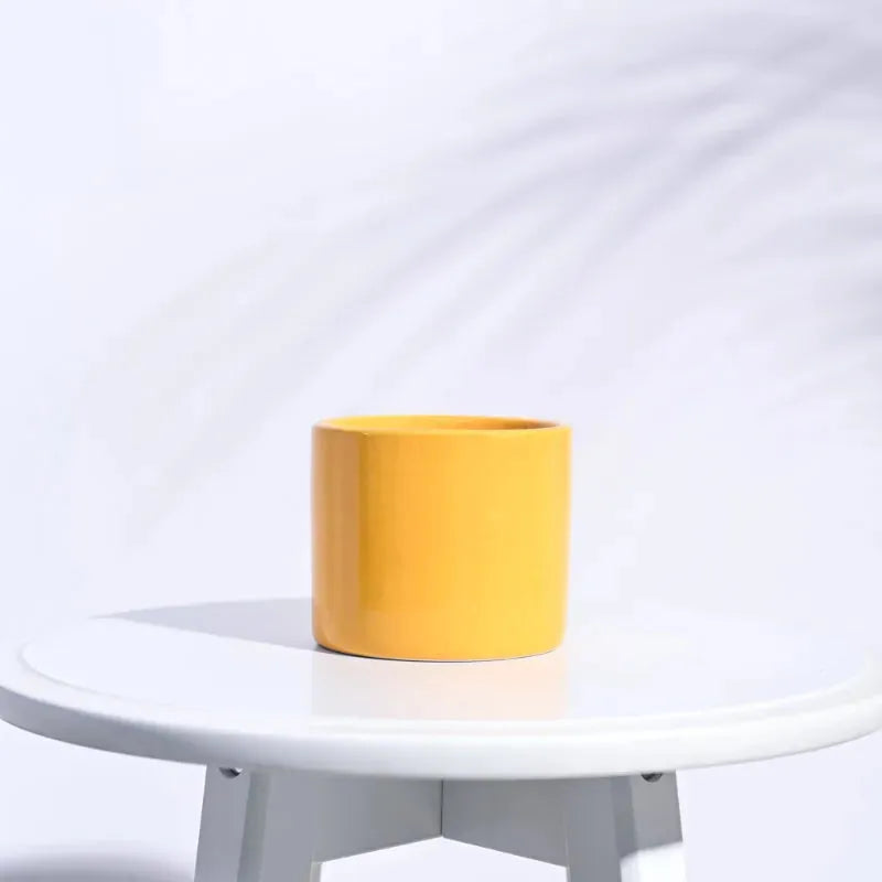 Pipe Ceramic Pot | Multiple Colors Yellow