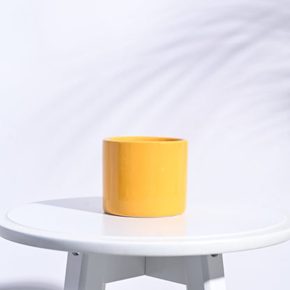 Pipe Ceramic Pot | Multiple Colors Yellow
