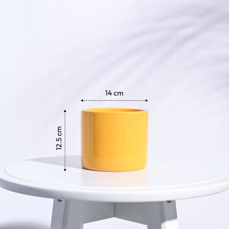 Pipe Ceramic Pot | Multiple Colors Yellow
