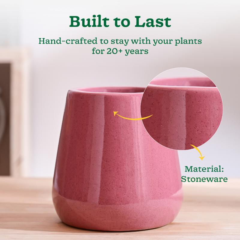 Tulip Fantasy Pink Ceramic Pot