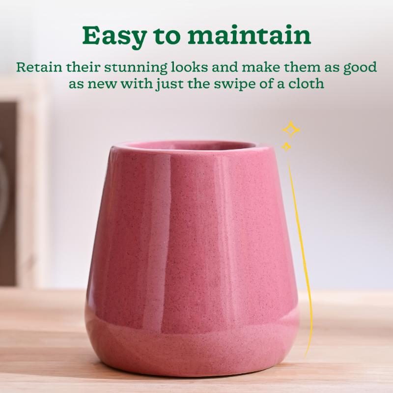 Tulip Fantasy Pink Ceramic Pot