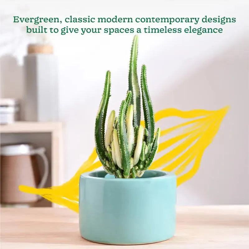 Aqua Green Ceramic Pot