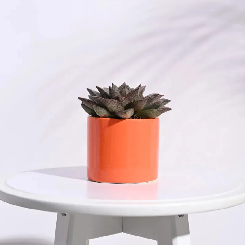 Pipe Ceramic Pot | Multiple Colors Orange