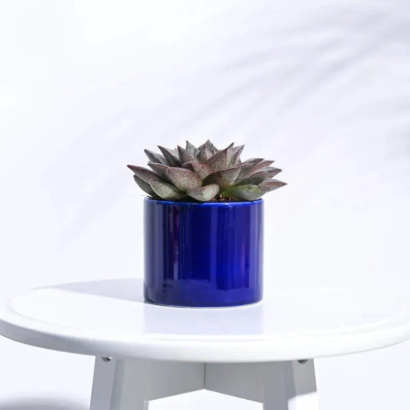 Pipe Ceramic Pot | Multiple Colors Blue