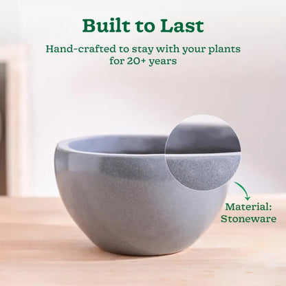 Nature's Hum Fat Extra Small Ceramic Planter | 6 x 3.5 inches | 'Only Planter'