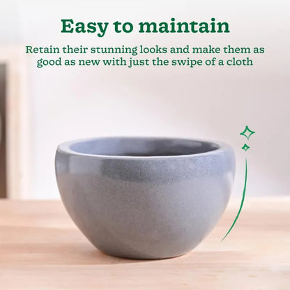 Nature's Hum Fat Extra Small Ceramic Planter | 6 x 3.5 inches | 'Only Planter'