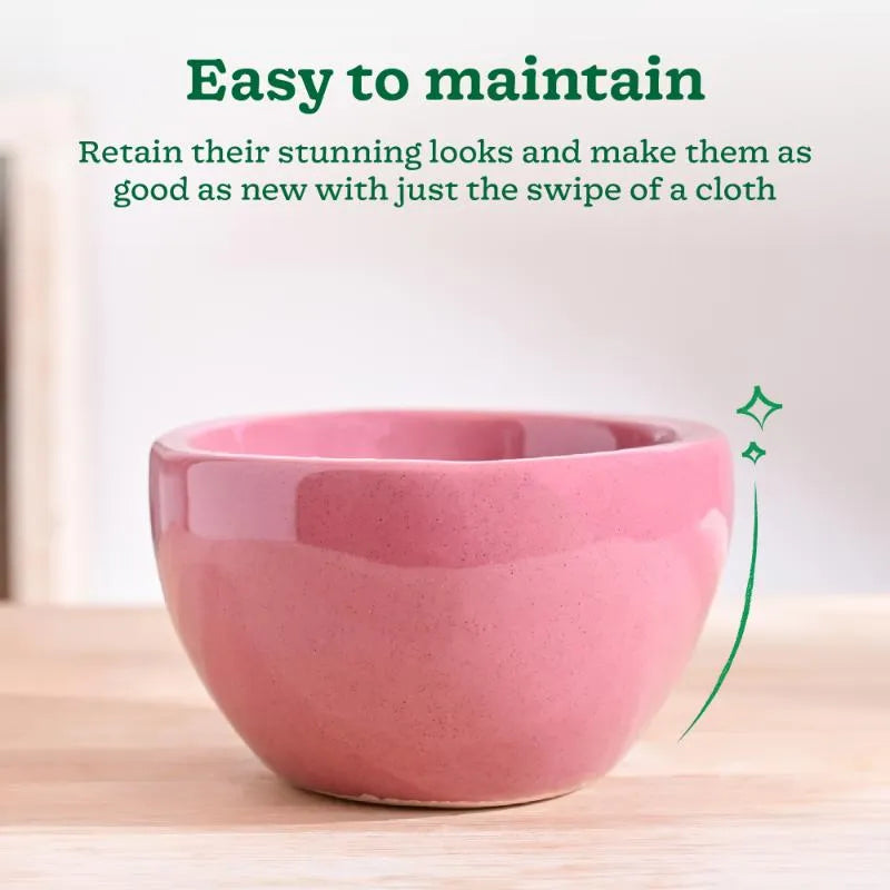 Nature's Hum Fat Extra Small Ceramic Planter | 6 x 3.5 inches | 'Only Planter'