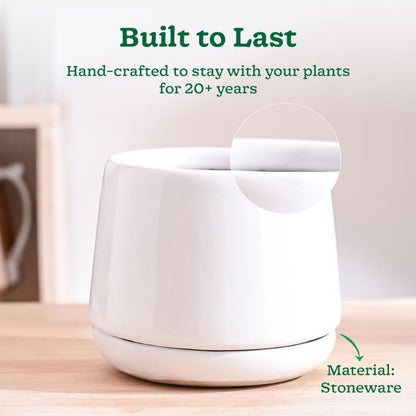 Monsoon Medley Small Ceramic Planter | 6 x 6 inches | 'Only Planter'