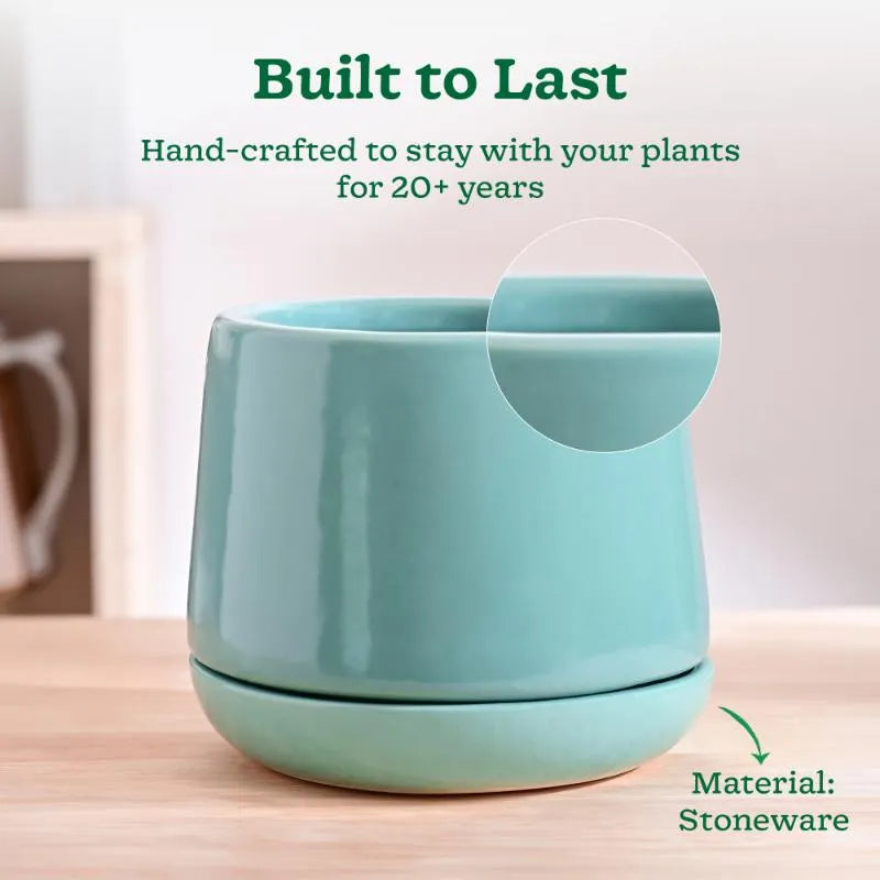 Monsoon Medley Small Ceramic Planter | 6 x 6 inches | 'Only Planter'