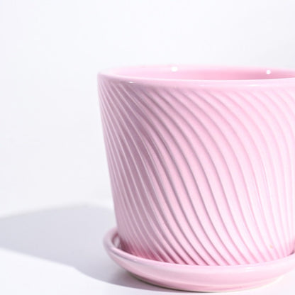 Radiant Spiro Ceramic Pot | 5x4 Inch Crepe Pink