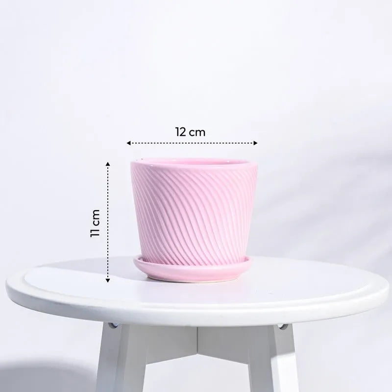 Radiant Spiro Ceramic Pot | 5x4 Inch Crepe Pink