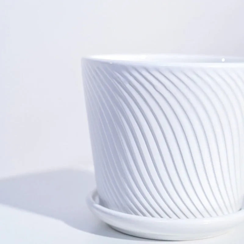 Radiant Spiro Ceramic Pot | 5x4 Inch White