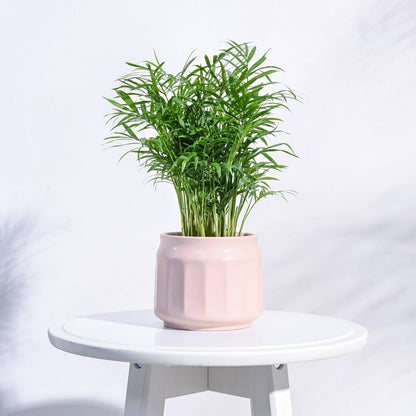 Attractive Jar Ceramic Cloud Pot | 5x4 Inch Dusty Rose