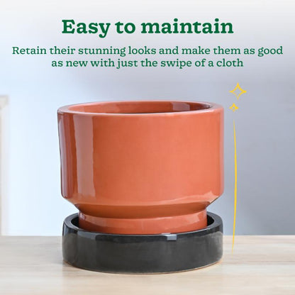 Soothing Rains Ceramic Planter | 11 x 8 inches | 'Only Planter'