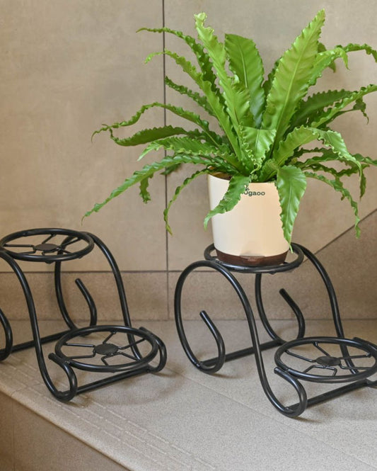 Black Swirl Decorative Plant Stands | Set of 2