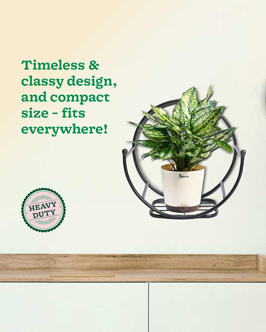 Beautiful Concave Wall Mounting Planter Stand | 17 x 9 inches