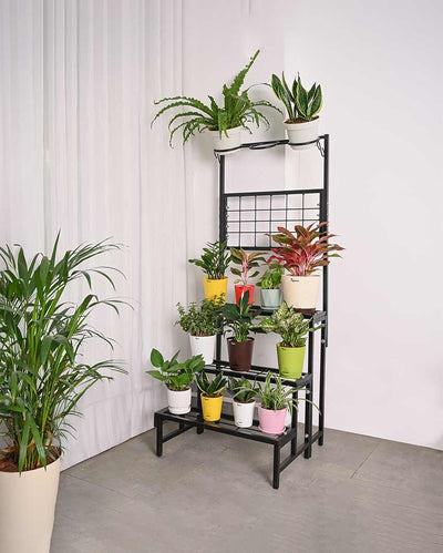 Beautiful Black Shade 4-Tier Metal Plant Stand | 24 x 21 x 59 inches