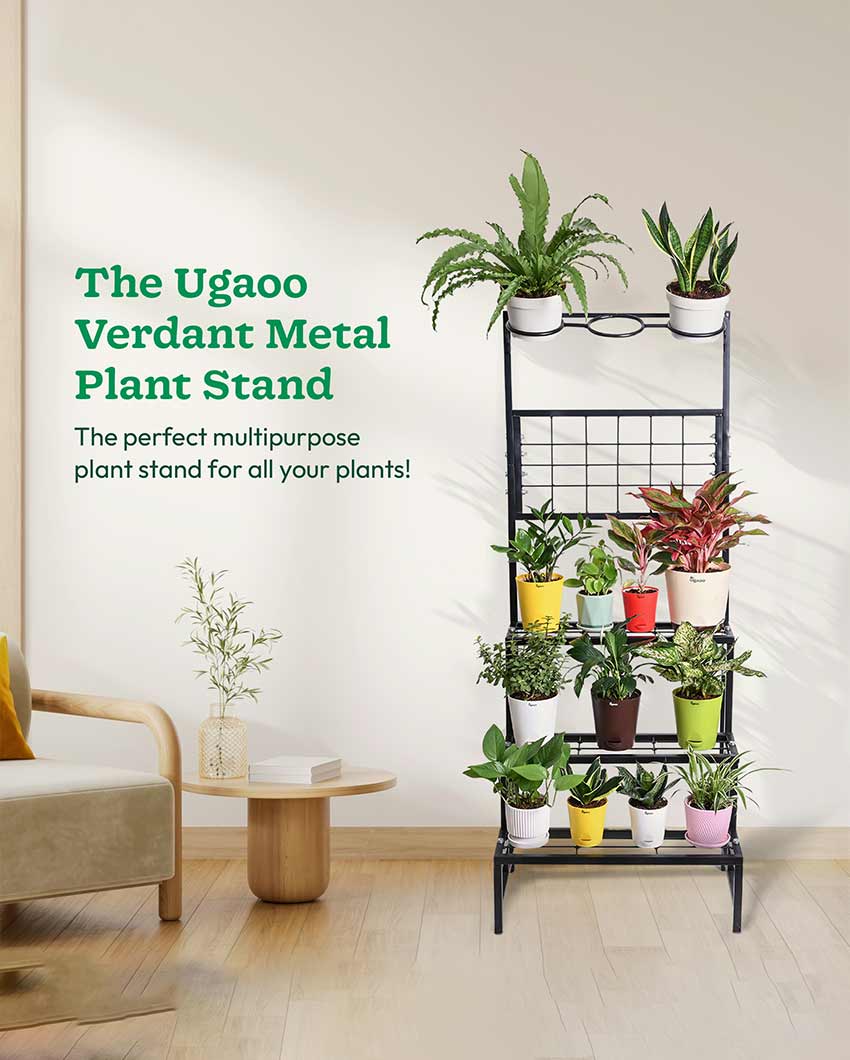 Beautiful Black Shade 4-Tier Metal Plant Stand | 24 x 21 x 59 inches