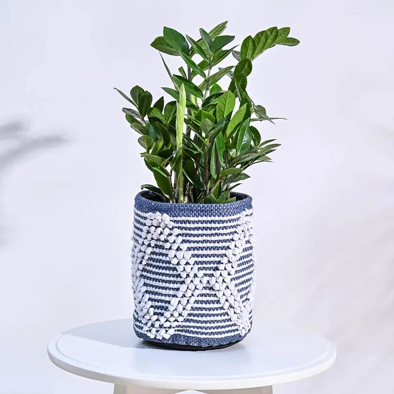 Trinket Cotton Blue Planter Default Title